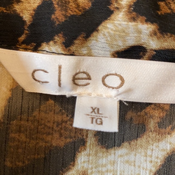 🔥 sold 🔥 Cleo sheer blouse - Picture 7 of 14